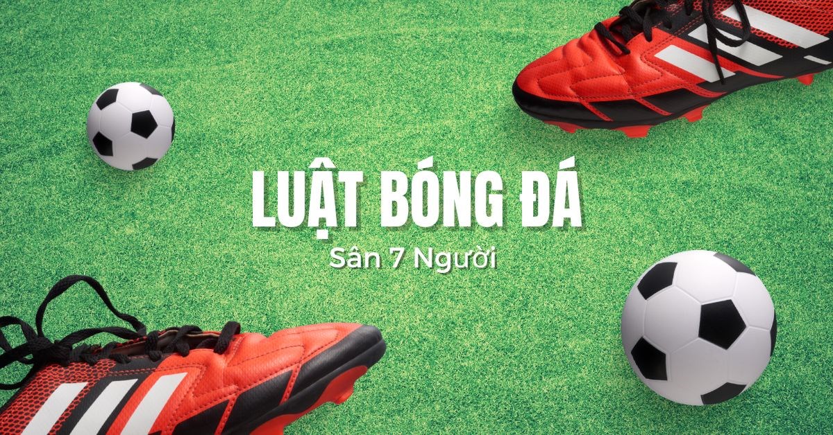 2. Quy Định Về Sân Thi Đấu